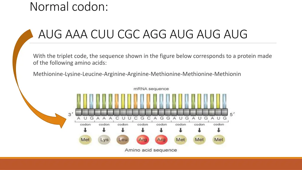 normal codon