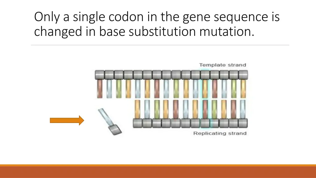 only a single codon in the gene sequence