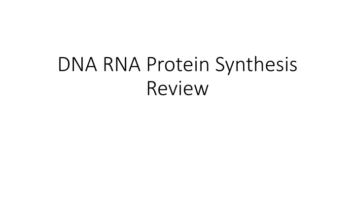 dna rna protein synthesis review