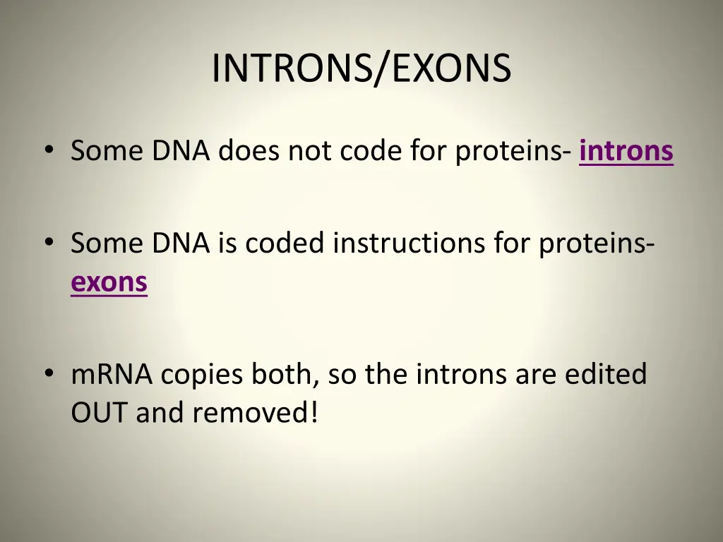 introns exons