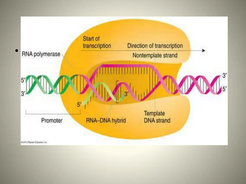 slide3