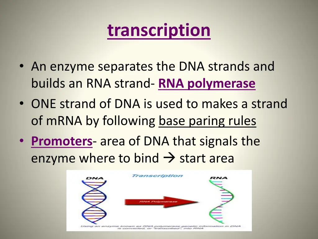 transcription