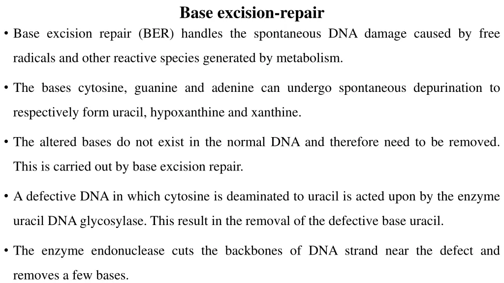 base excision repair