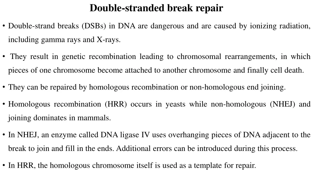 double stranded break repair