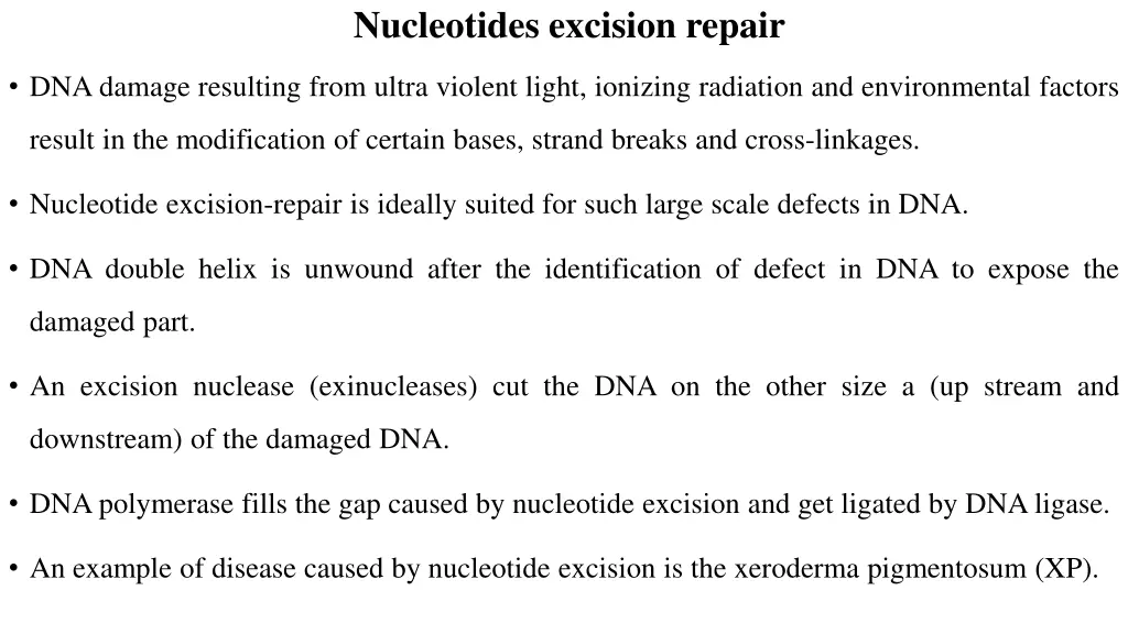 nucleotides excision repair