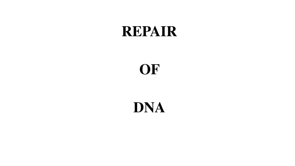 repair