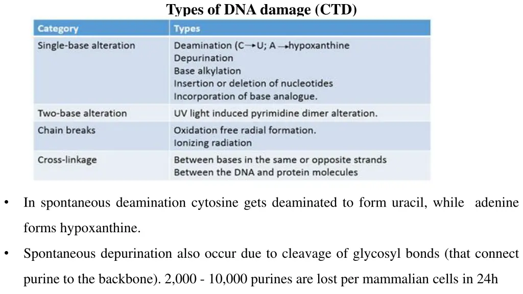 types of dna damage ctd