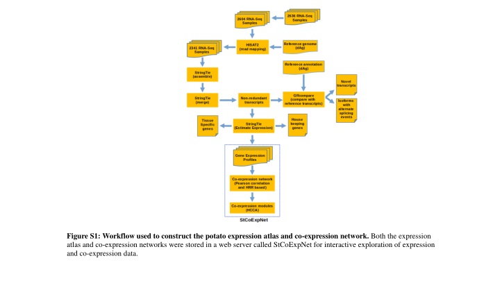 figure s1 workflow used to construct the potato