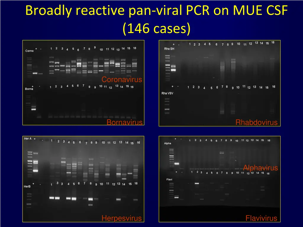 broadly reactive pan viral