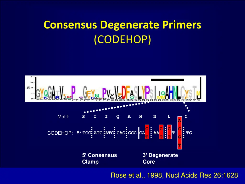 consensus degenerate primers codehop