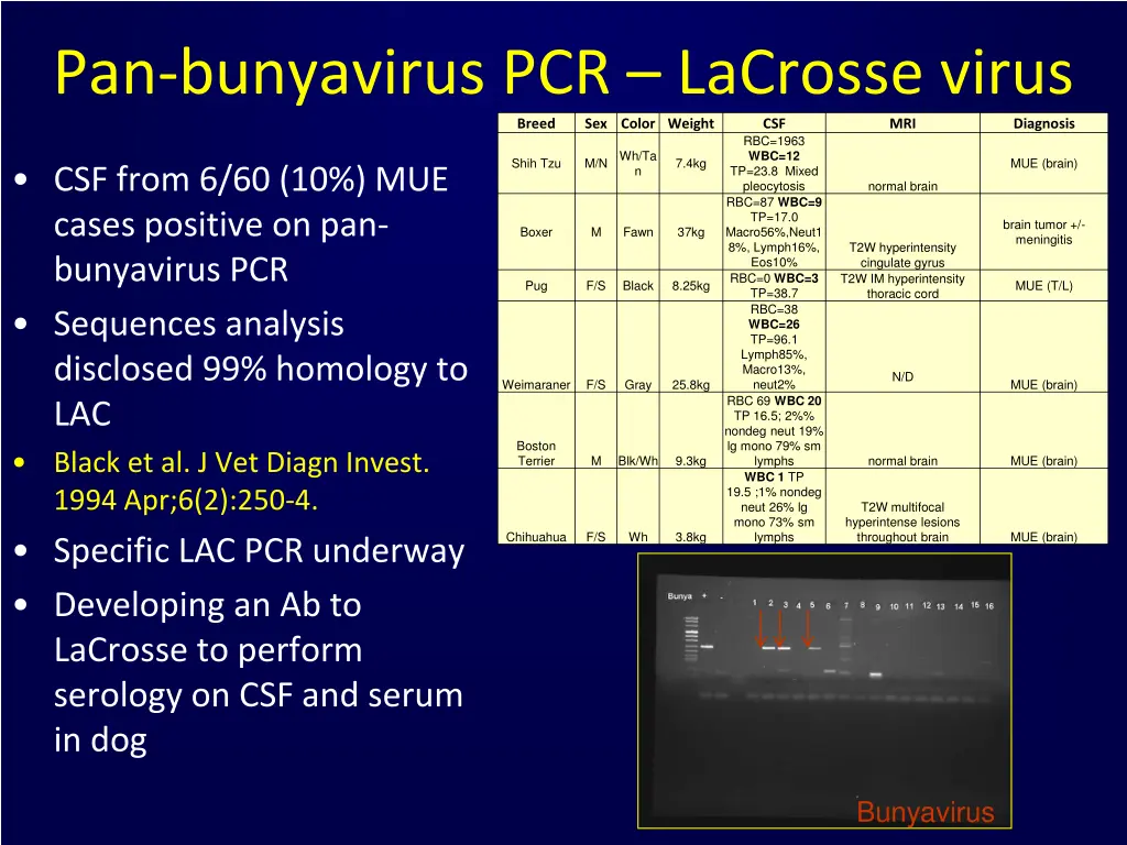 pan bunyavirus pcr lacrosse virus breed