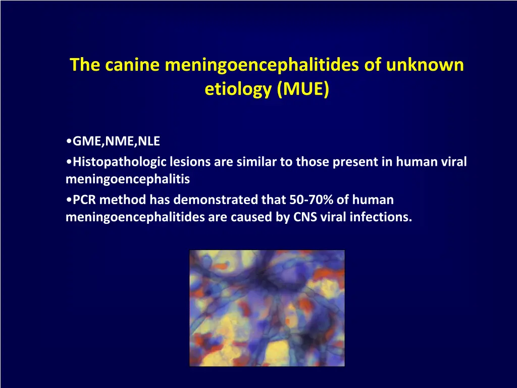 the canine meningoencephalitides of unknown