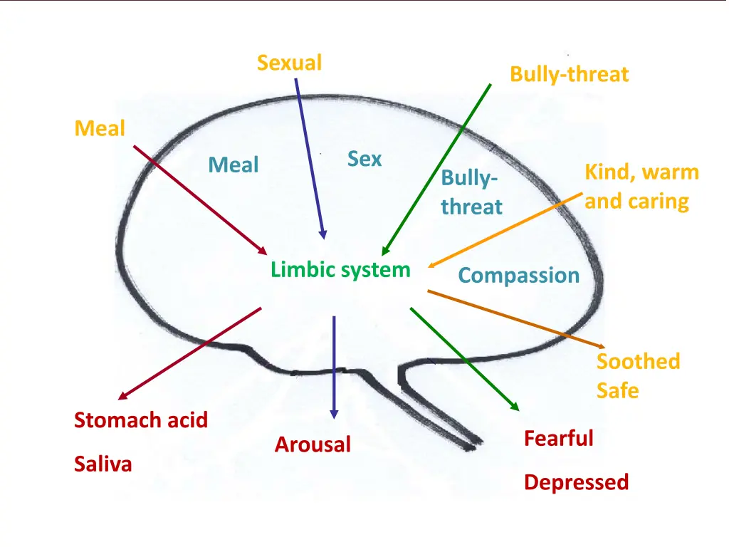 stimulus response