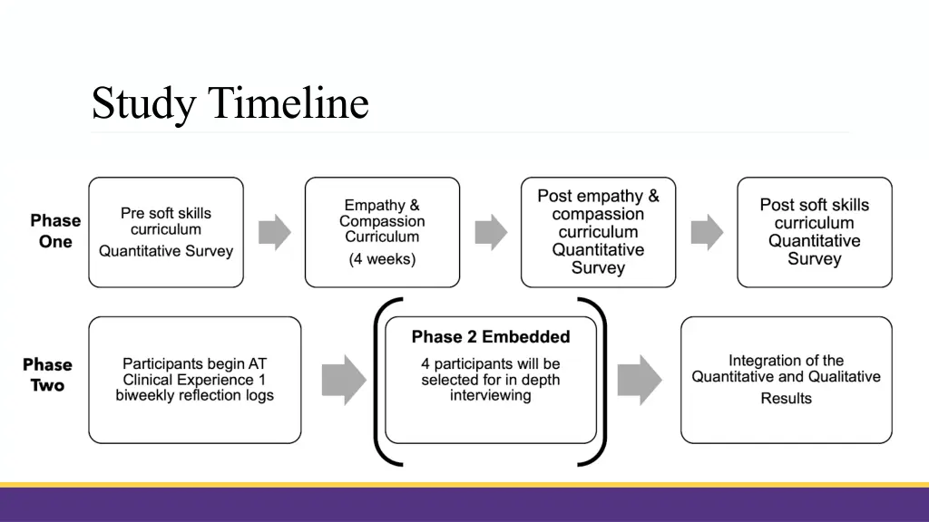 study timeline