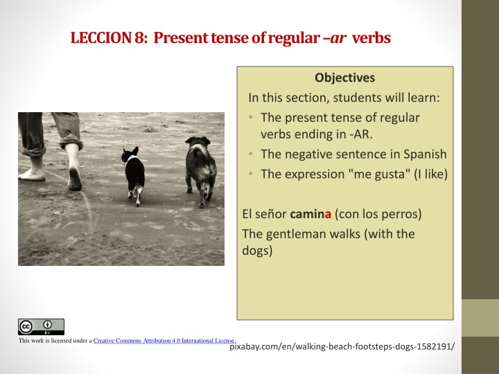 leccion 8 present tense of regular ar verbs