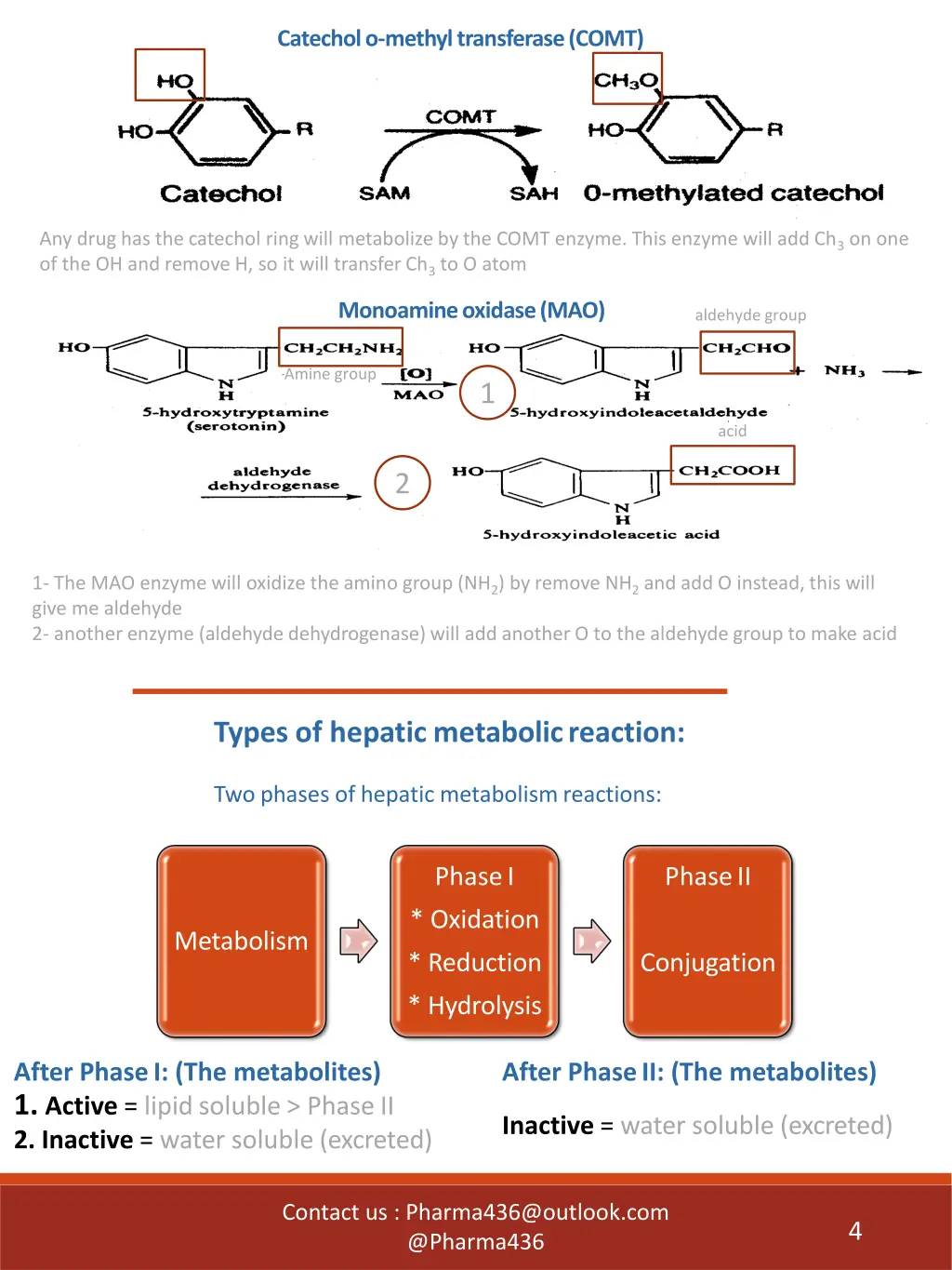 catechol o methyl transferase comt