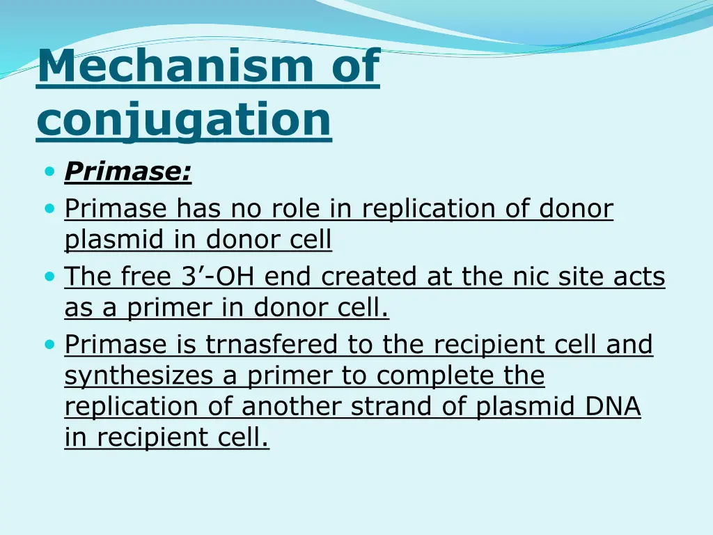 mechanism of conjugation primase primase