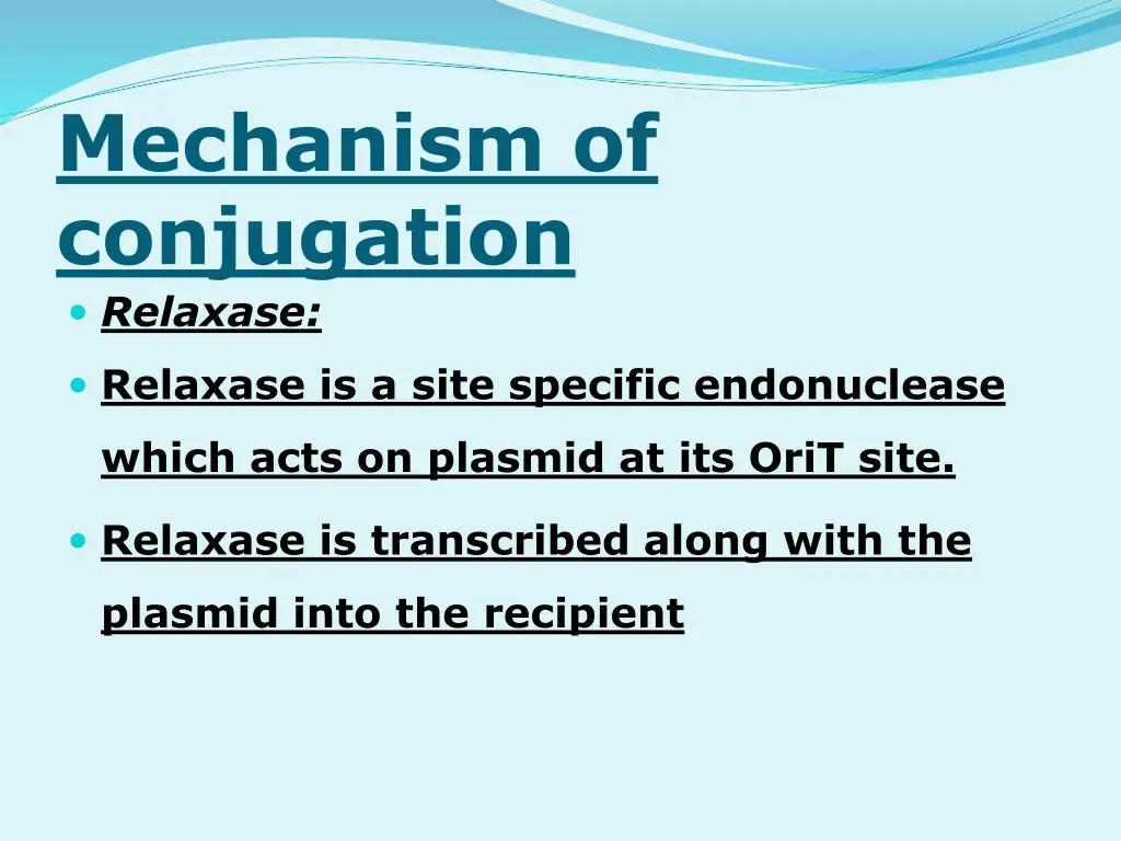 mechanism of conjugation relaxase