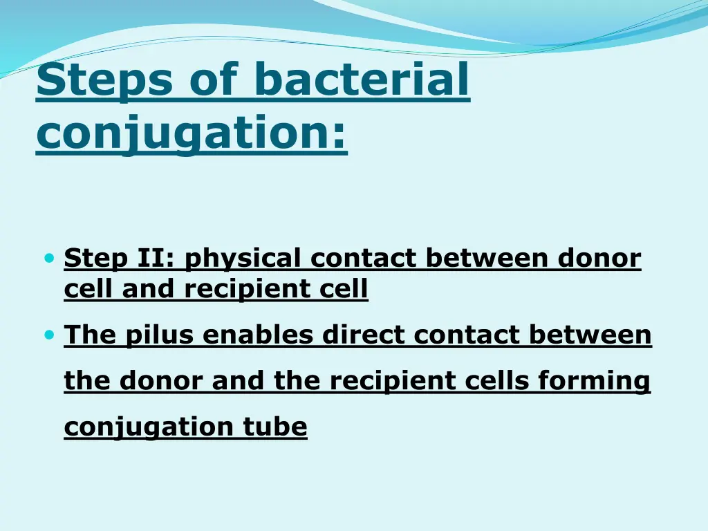 steps of bacterial conjugation