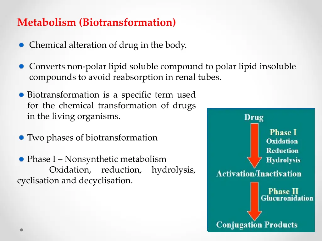 metabolism biotransformation