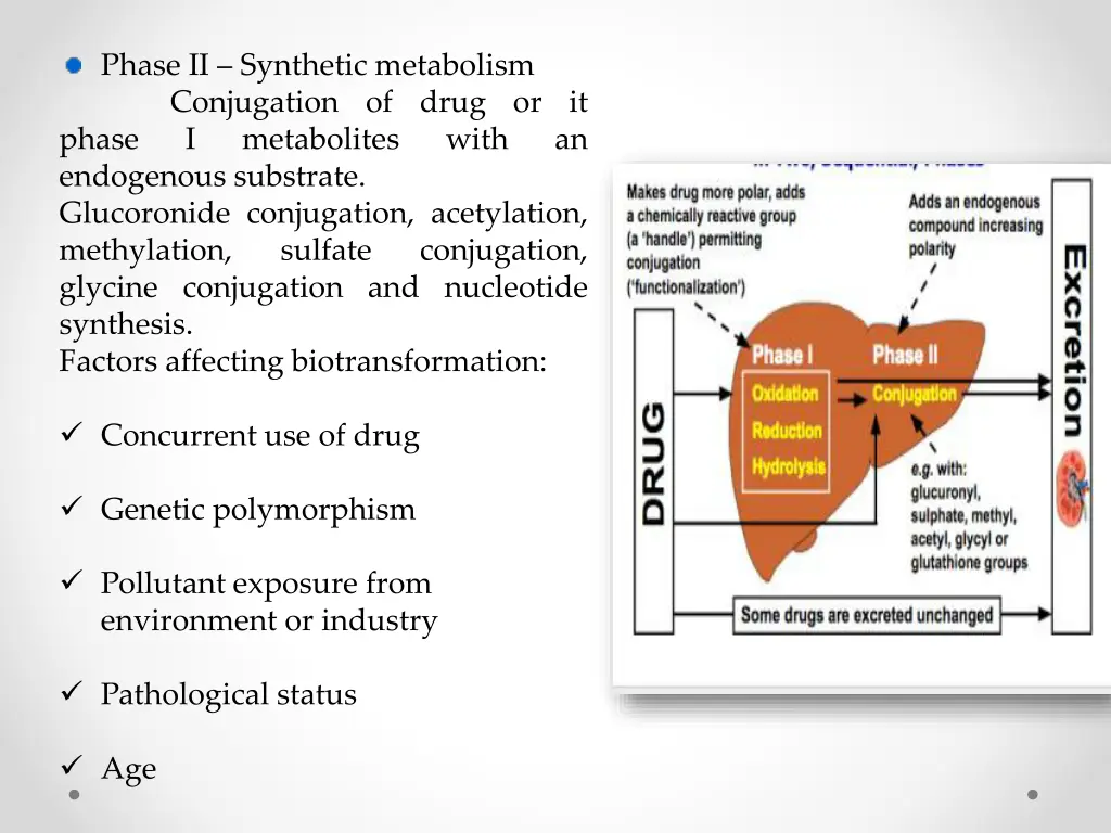 phase ii synthetic metabolism conjugation of drug