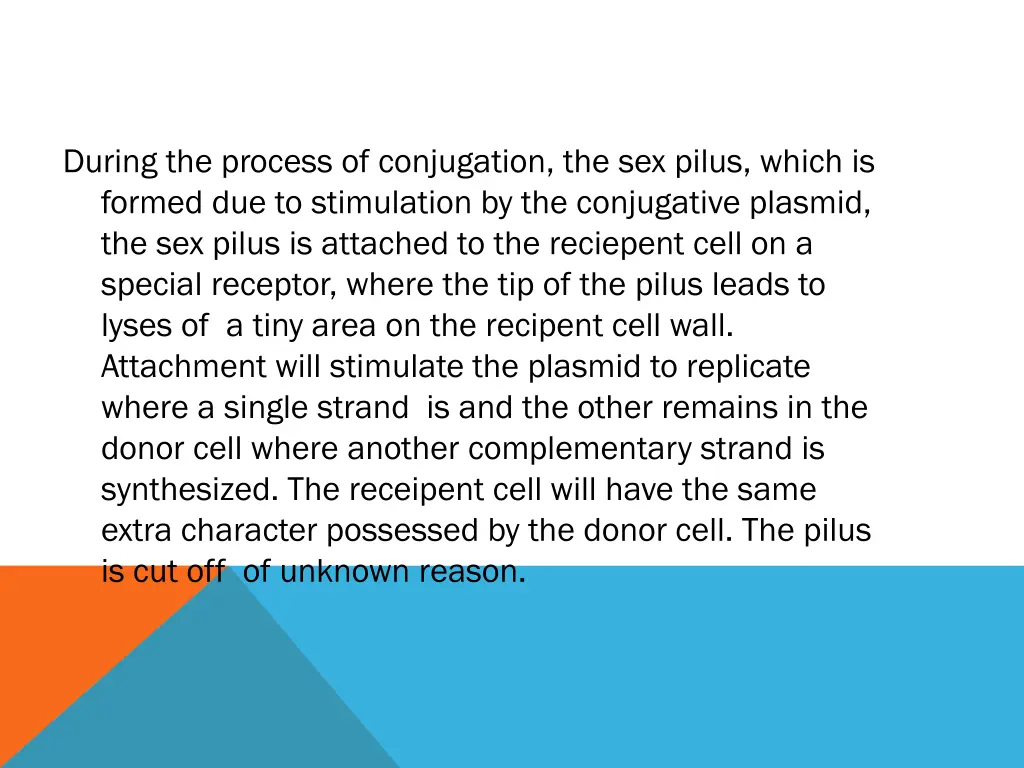 during the process of conjugation the sex pilus