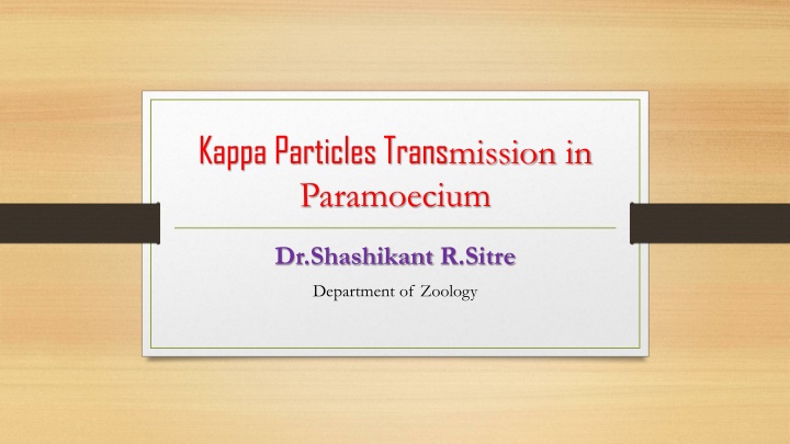 kappa particles trans mission in paramoecium