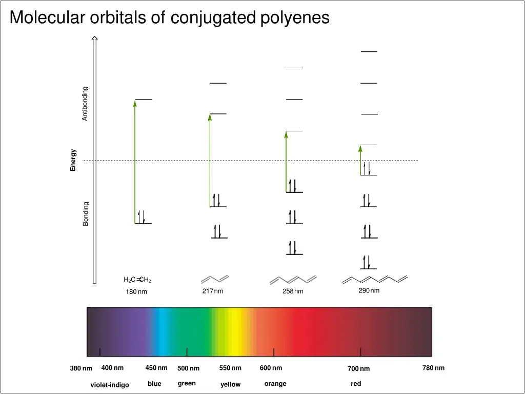 molecular orbitals of conjugated polyenes