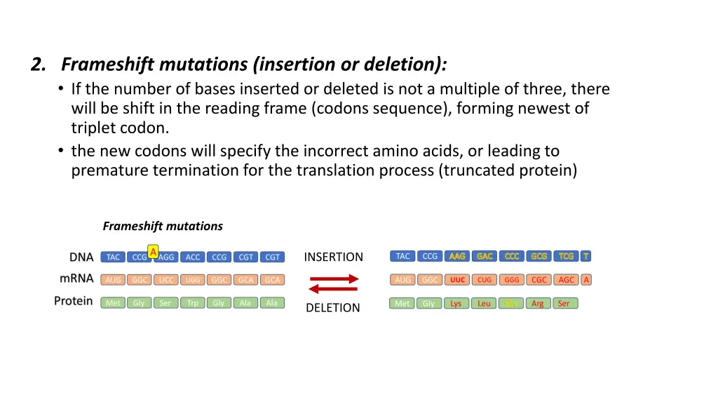 2 frameshift mutations insertion or deletion