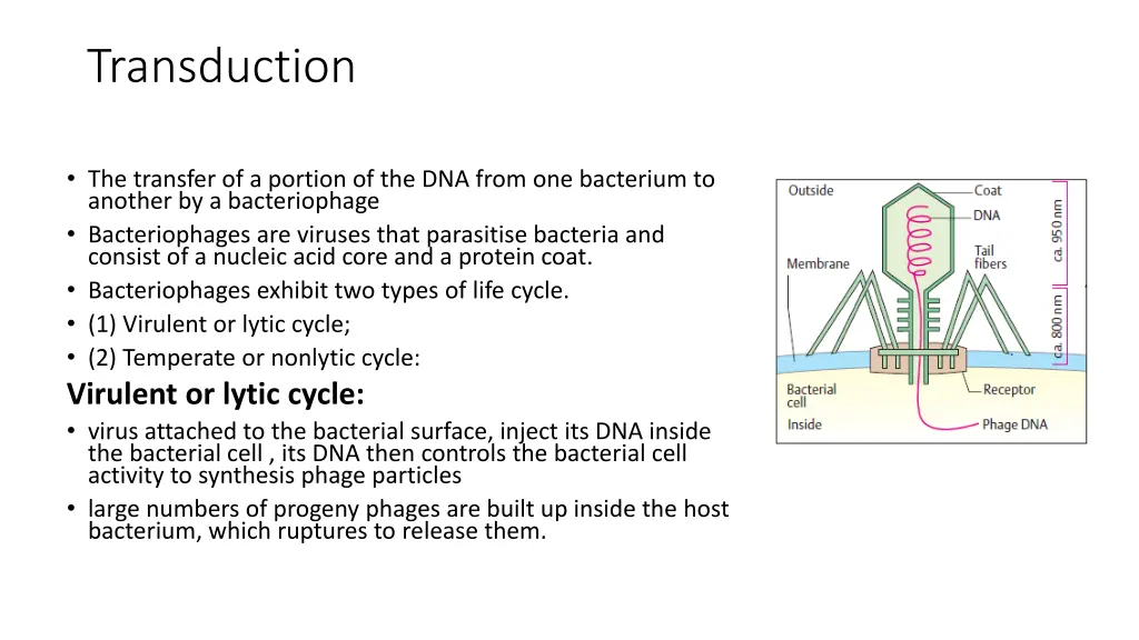 transduction