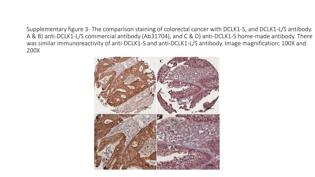 supplementary figure 3 the comparison staining