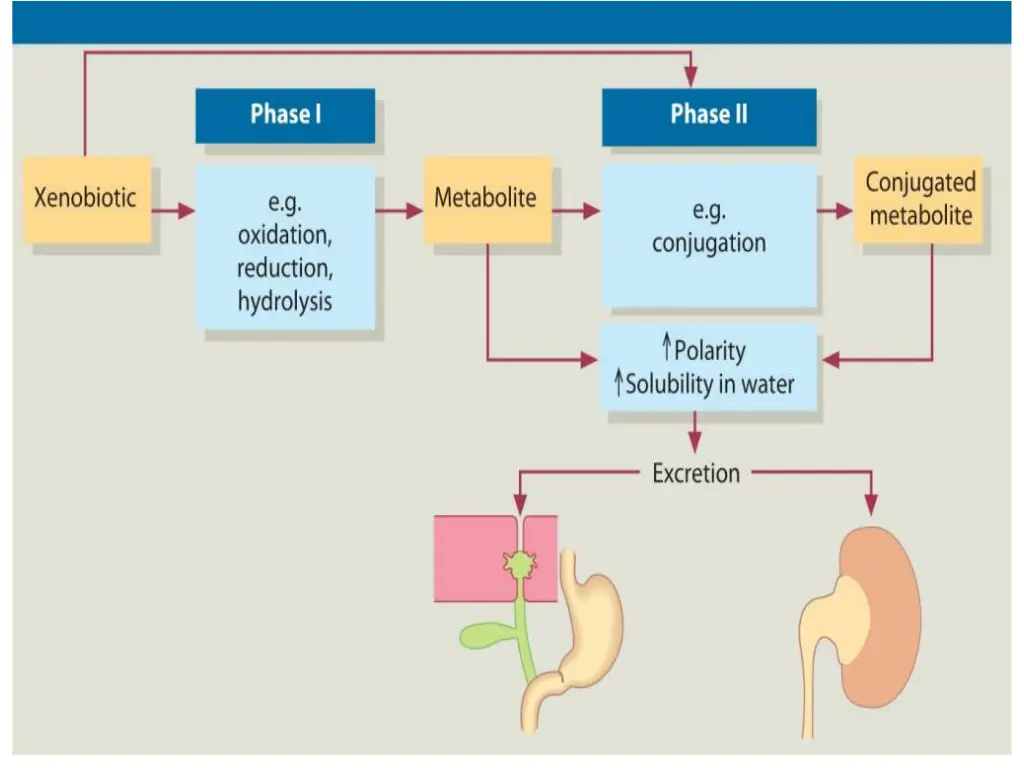 slide7