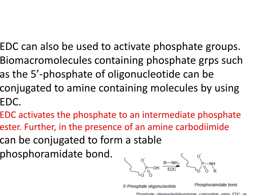 edc can also be used to activate phosphate groups