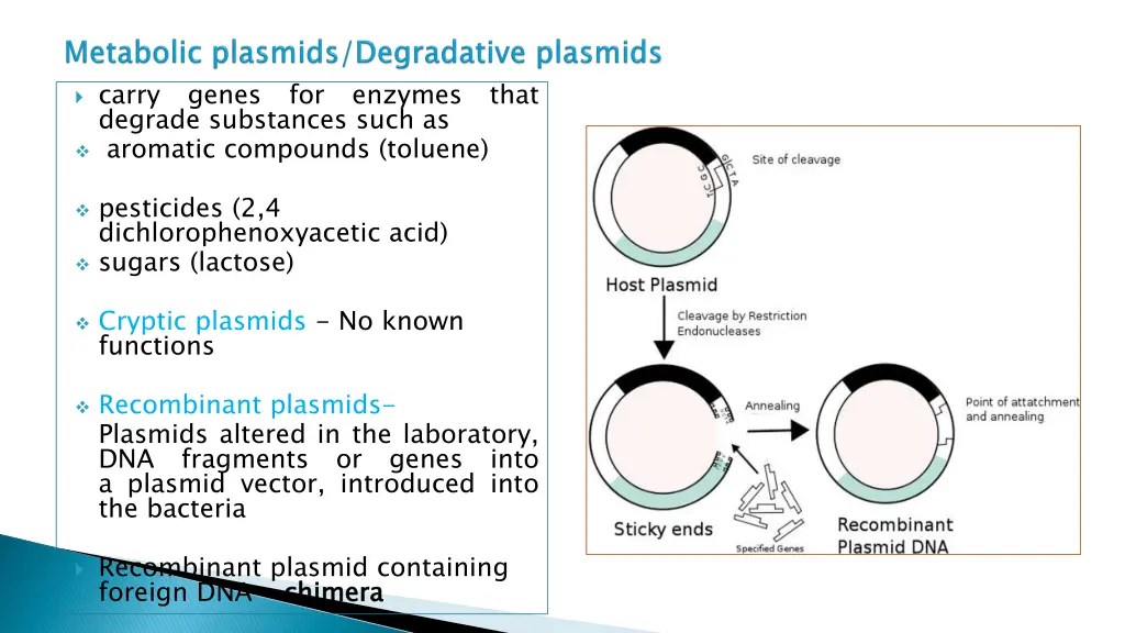 carry genes for enzymes that degrade substances