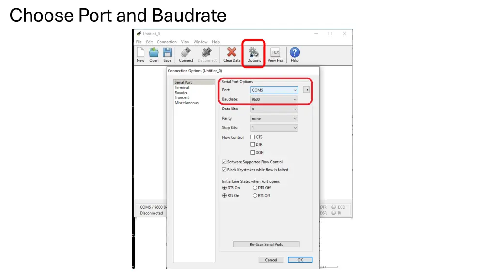 choose port and baudrate