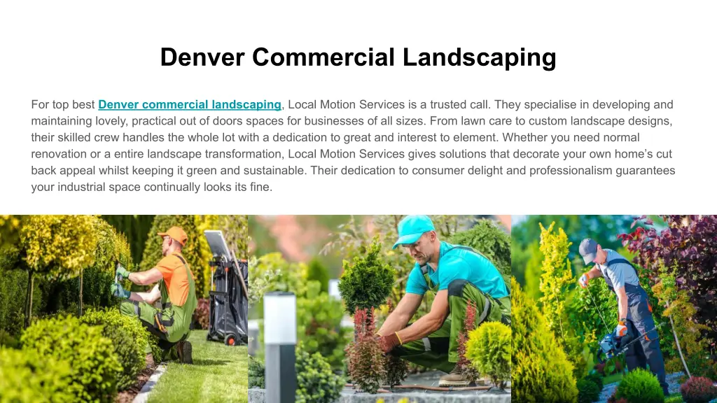 denver commercial landscaping