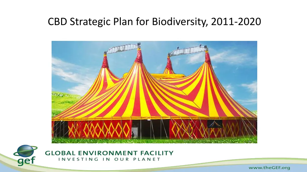 cbd strategic plan for biodiversity 2011 2020