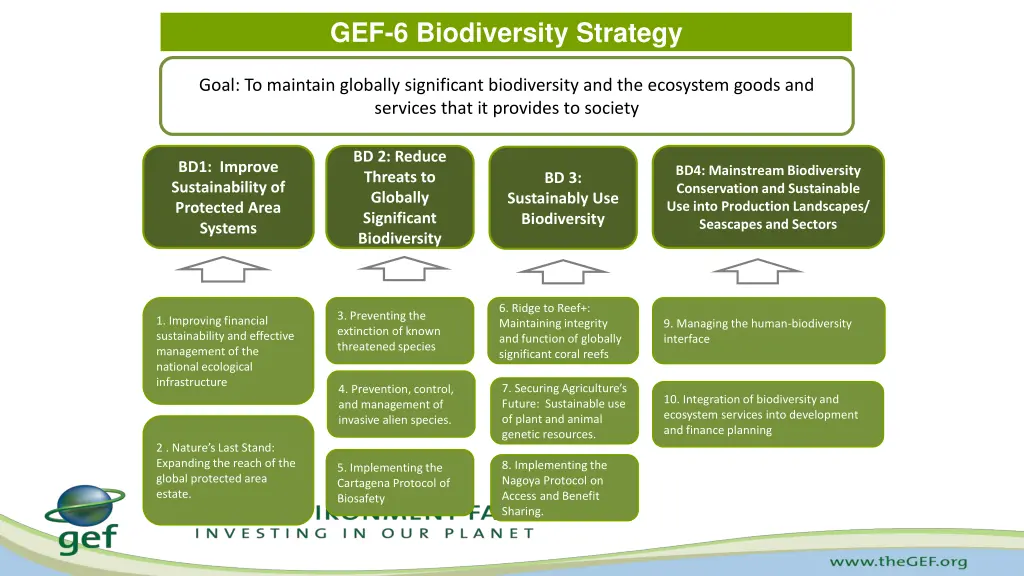 gef 6 biodiversity strategy