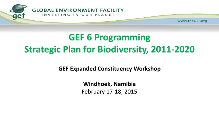 gef 6 programming