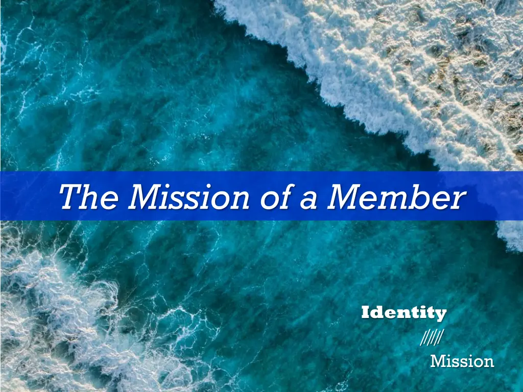 the mission of a member