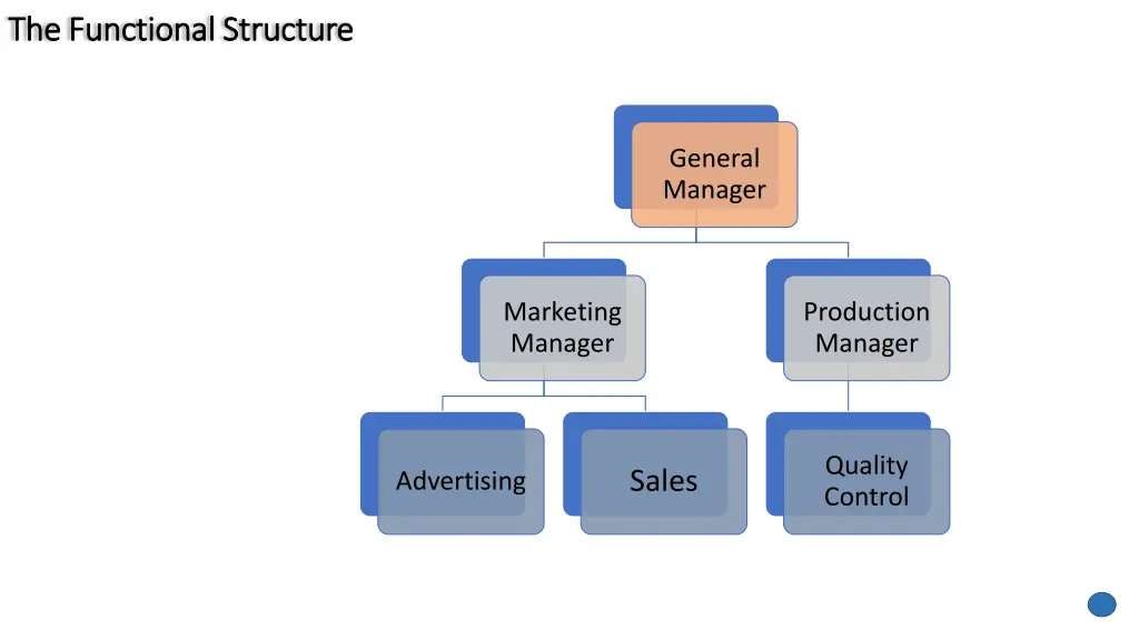 the functional structure the functional structure