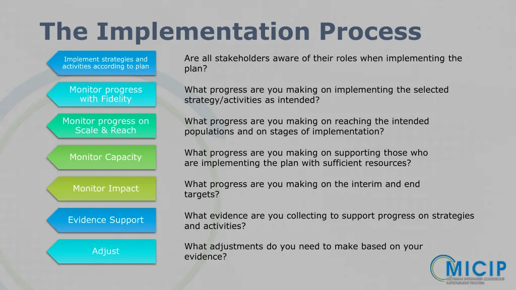 the implementation process