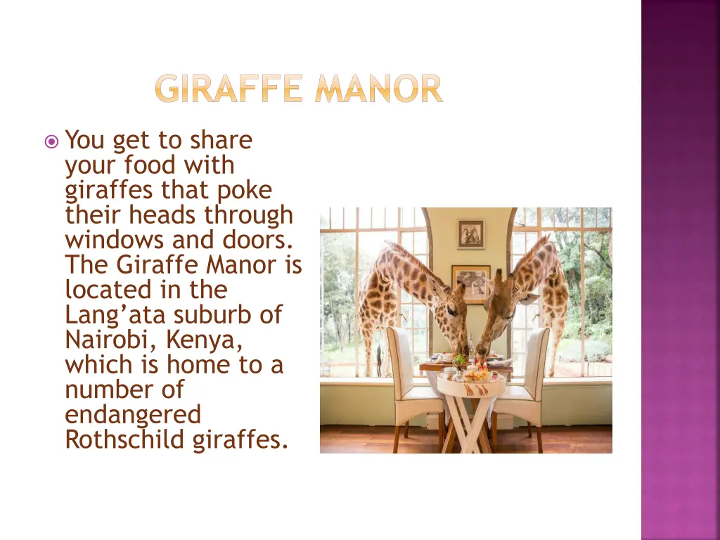 giraffe manor