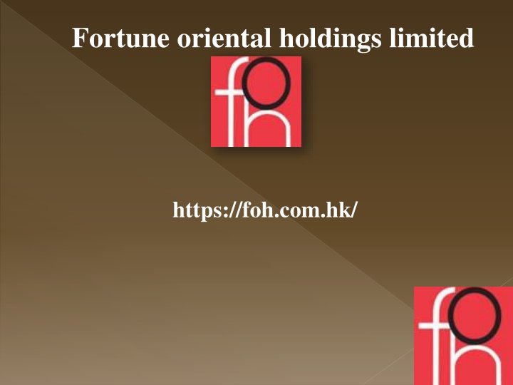 fortune oriental holdings limited