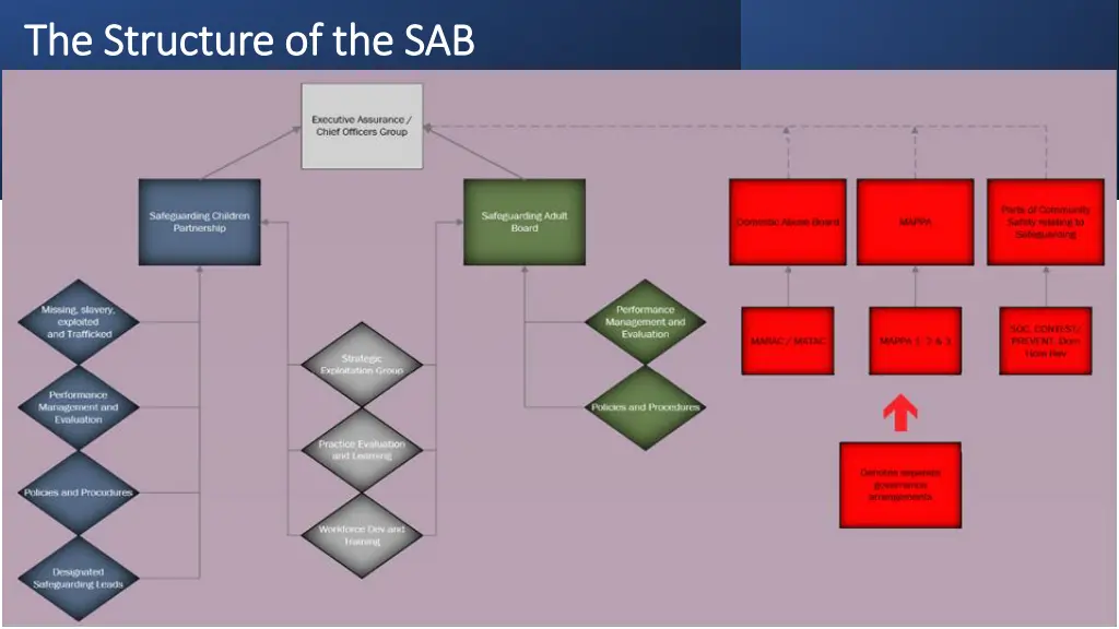 the structure of the sab the structure of the sab