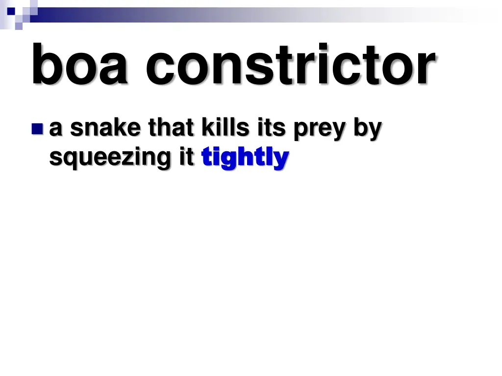 boa constrictor