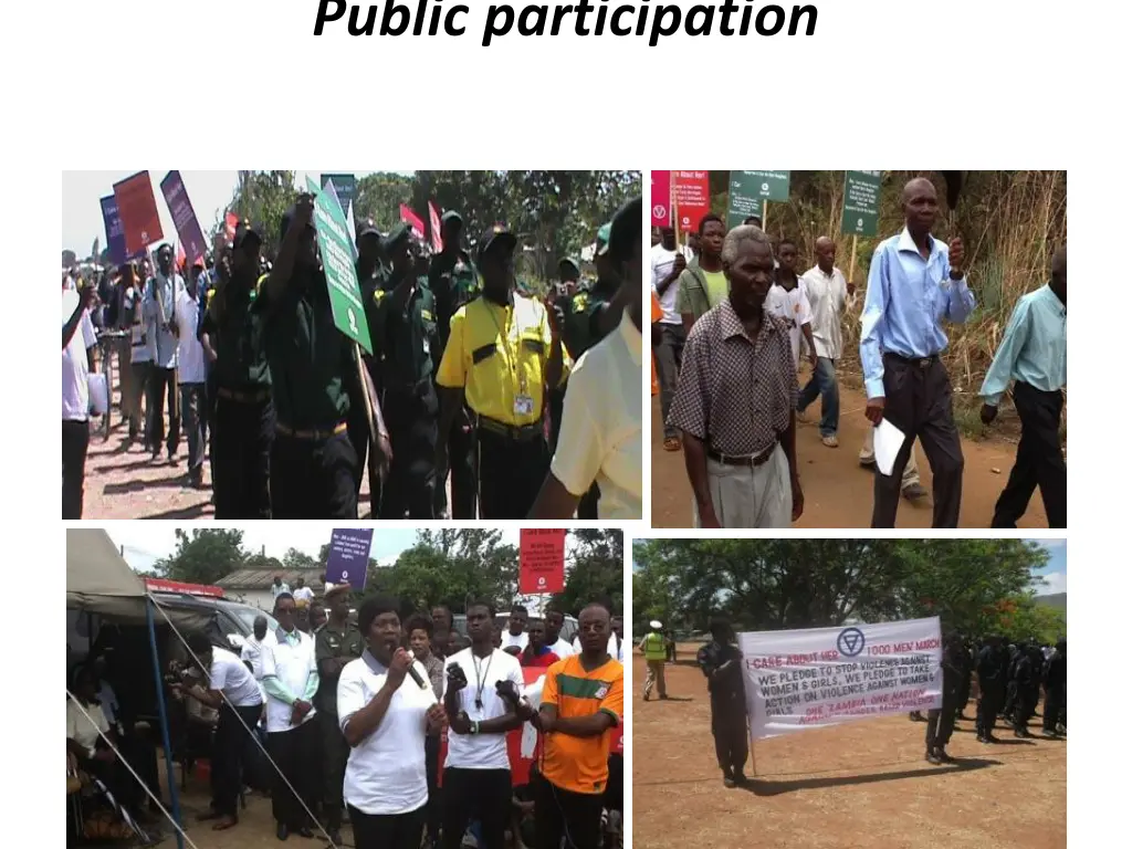 public participation