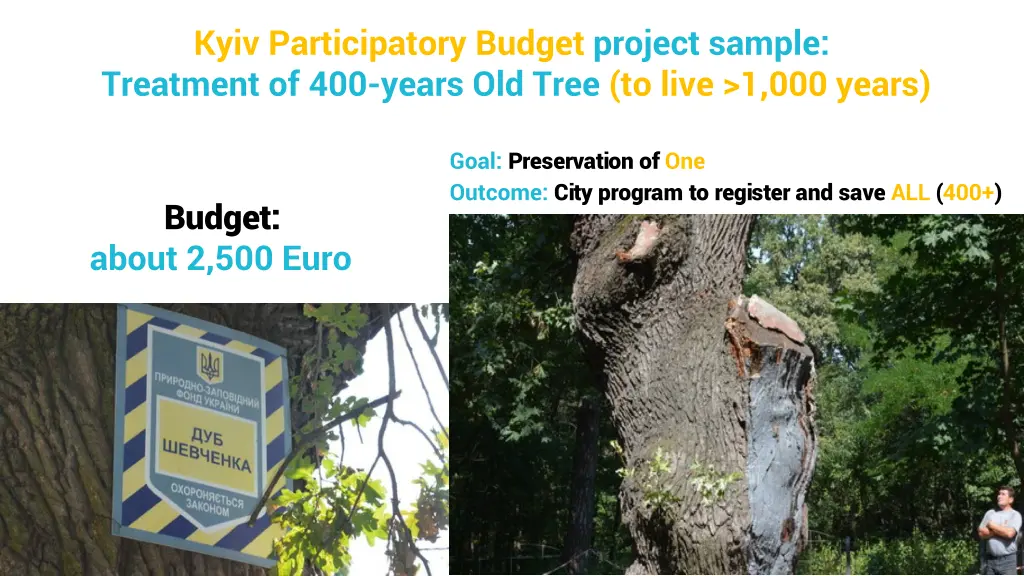 kyiv participatory budget project sample