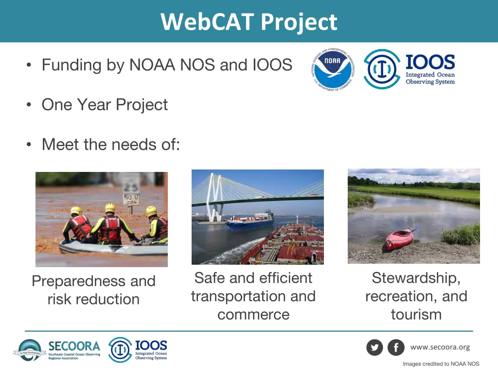 webcat project