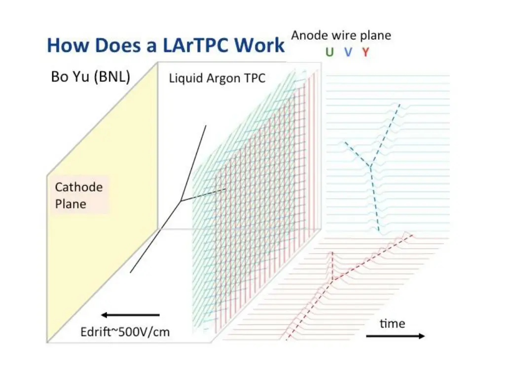 slide7